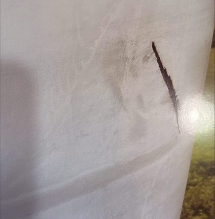 Blade before being repaired